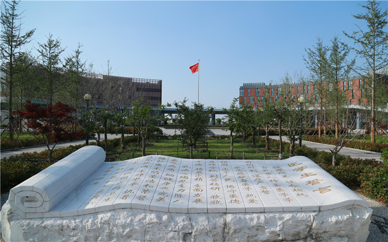 成都青羊区四道街15号院：把院子里的故事画在墙上